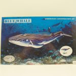 3d Puzzle Blue Whale Color Woodcraft Construction